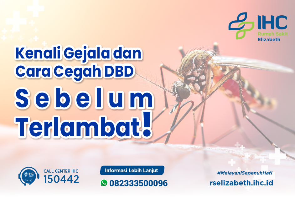 Kenali Gejala dan Cara Cegah DBD Sebelum Terlambat